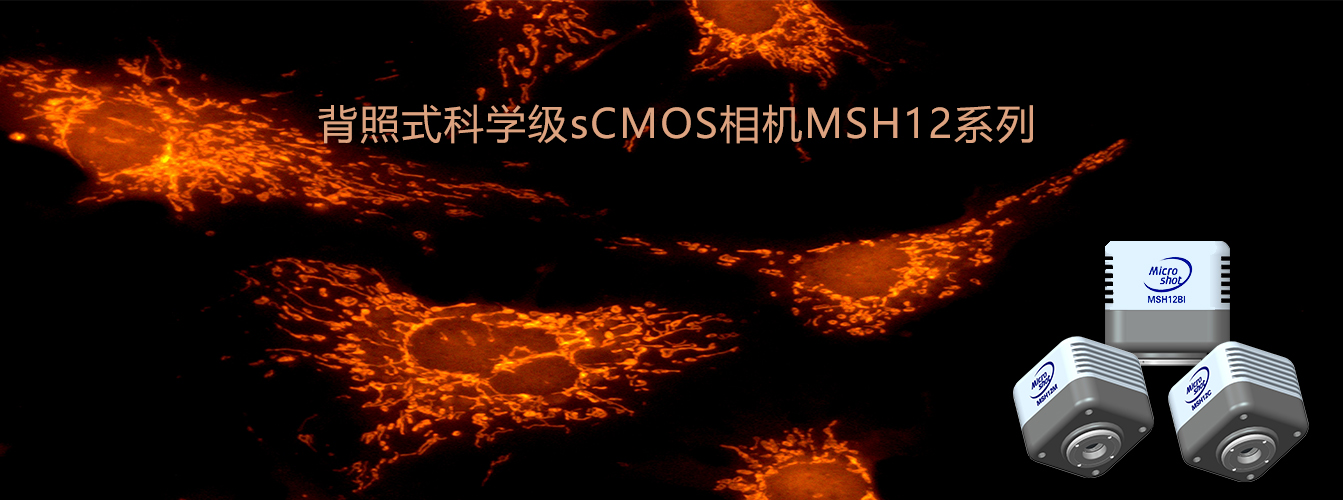 背照式sCMOS相機(jī)