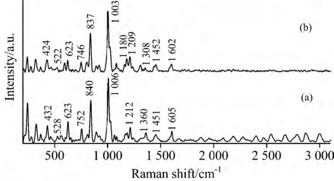 拉曼光譜的應用