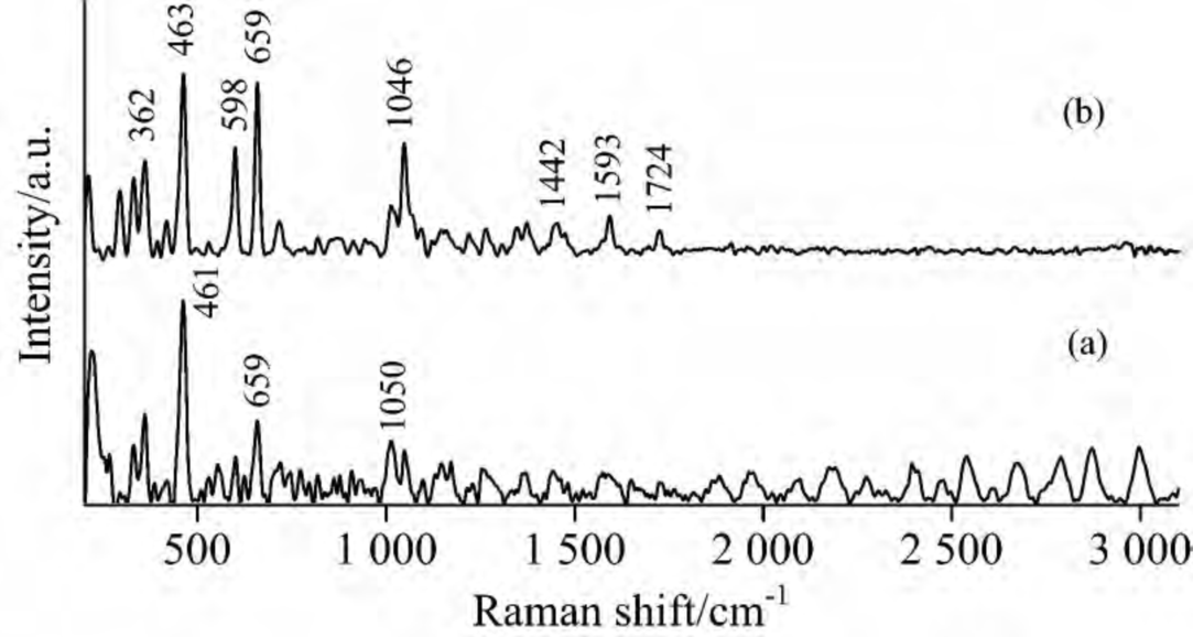 拉曼光譜的應用